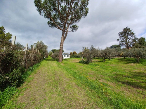 Terreno agricolo in vendita a Castel Gandolfo (RM)