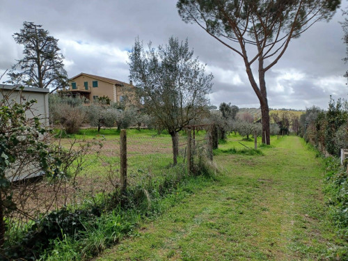 Terreno agricolo in vendita a Castel Gandolfo (RM)