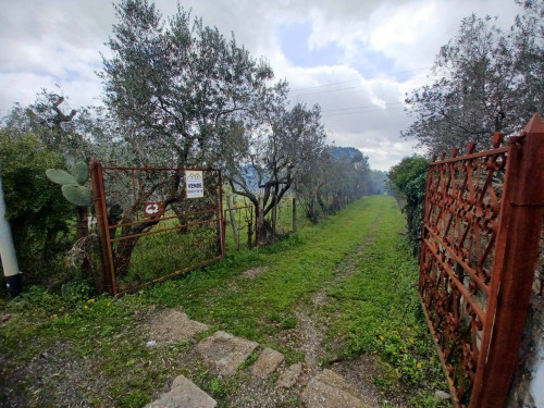 Terreno agricolo in vendita a Castel Gandolfo (RM)