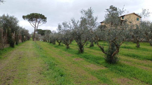 Terreno agricolo in vendita a Castel Gandolfo (RM)