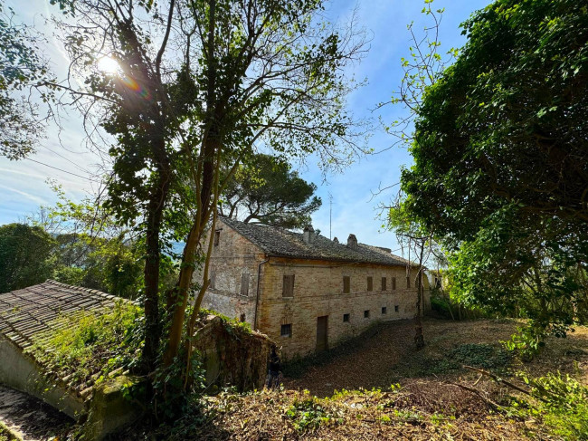 Casa Colonica con Terreno in vendita a Sant'Elpidio a Mare