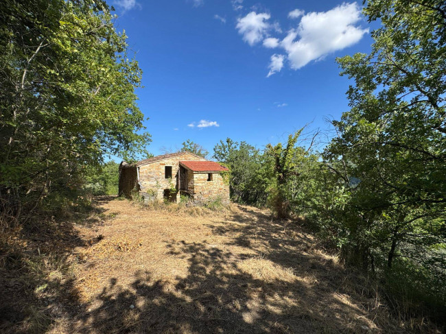 Rudere con terreno in vendita a Montelparo