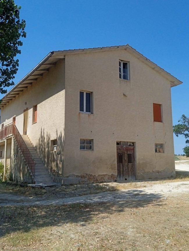 Rustic/Farmhouse