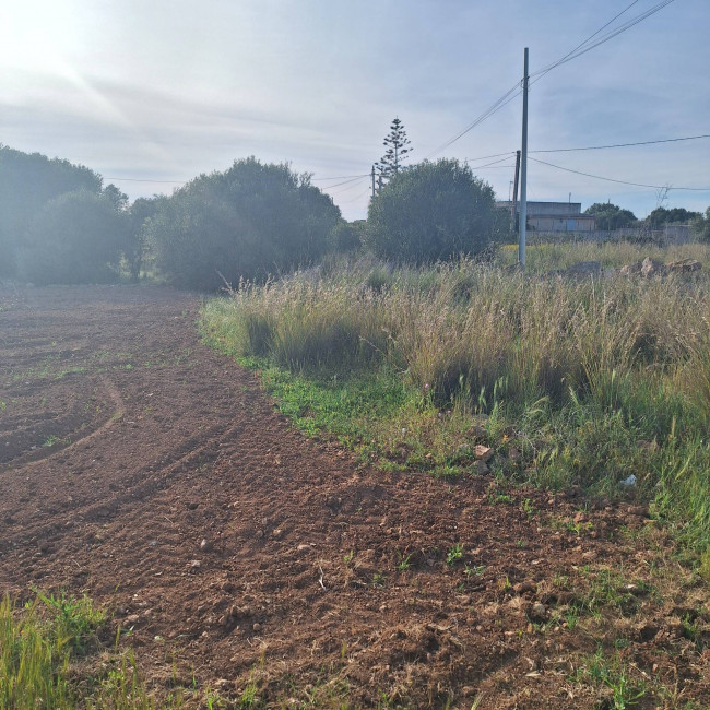 Terreno agricolo in vendita a Mazara Del Vallo (TP)