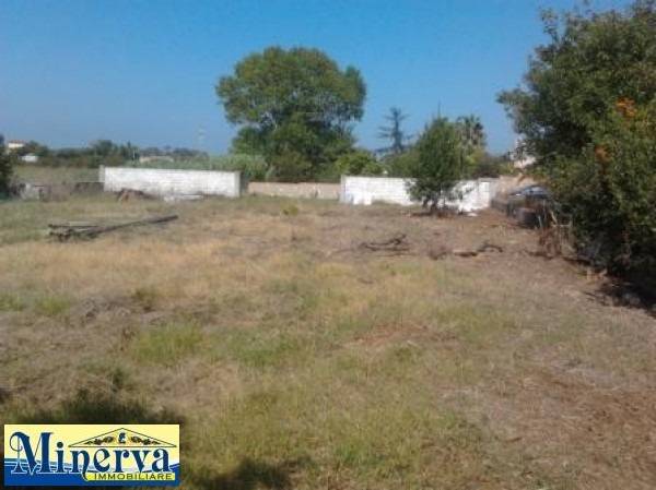 Terreno edificabile in vendita a Cretarossa, Nettuno (RM)