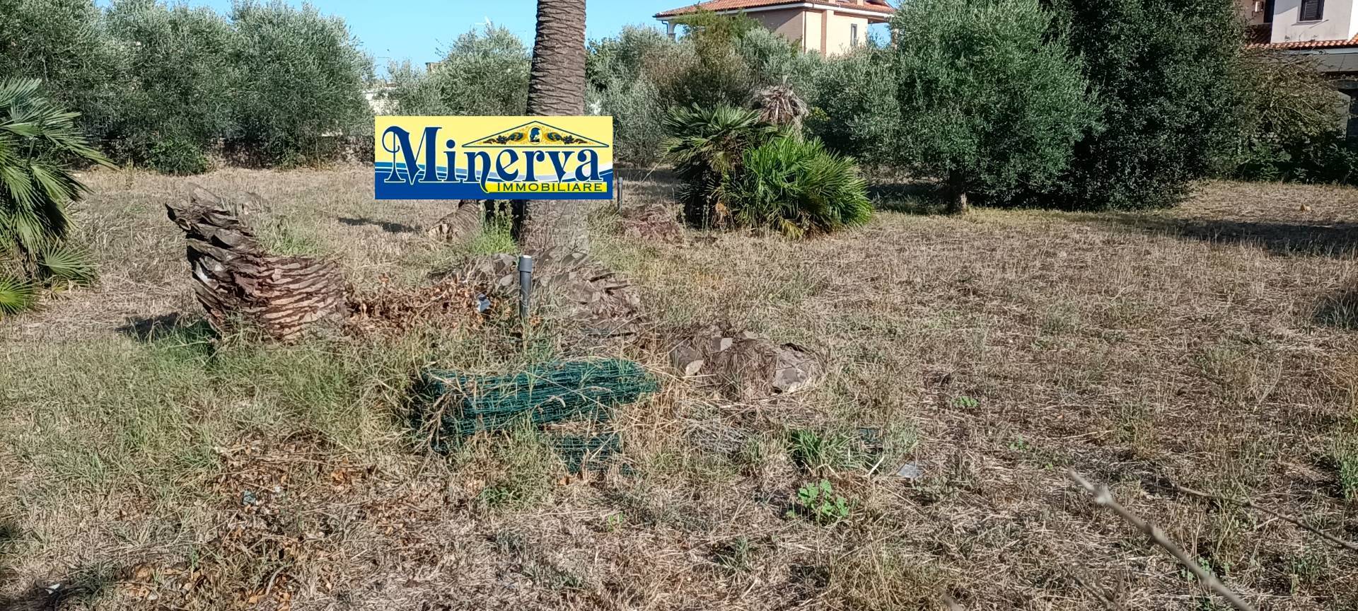 Terreno edificabile in vendita a Anzio (RM)