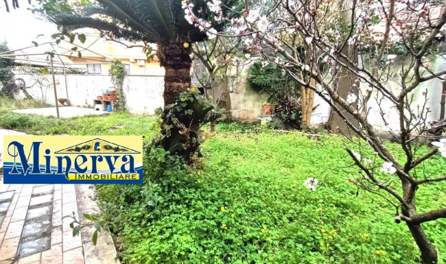 Appartamento in Vendita a Nettuno