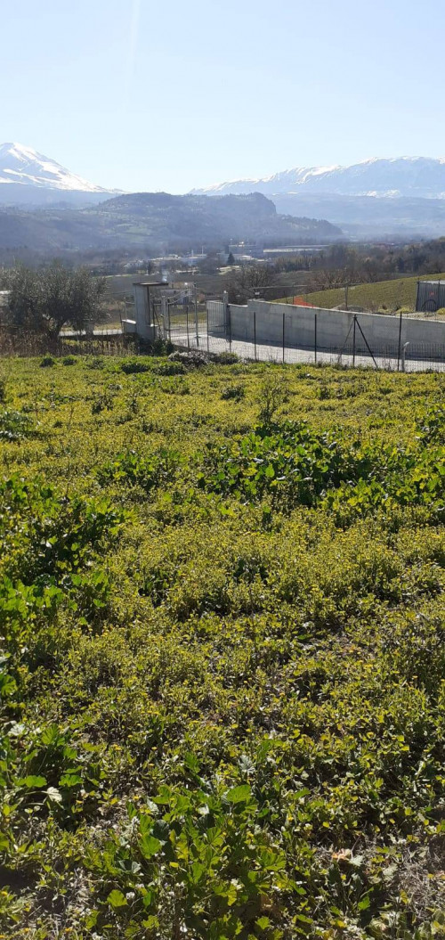 Terreno edificabile in vendita a Rosciano (PE)