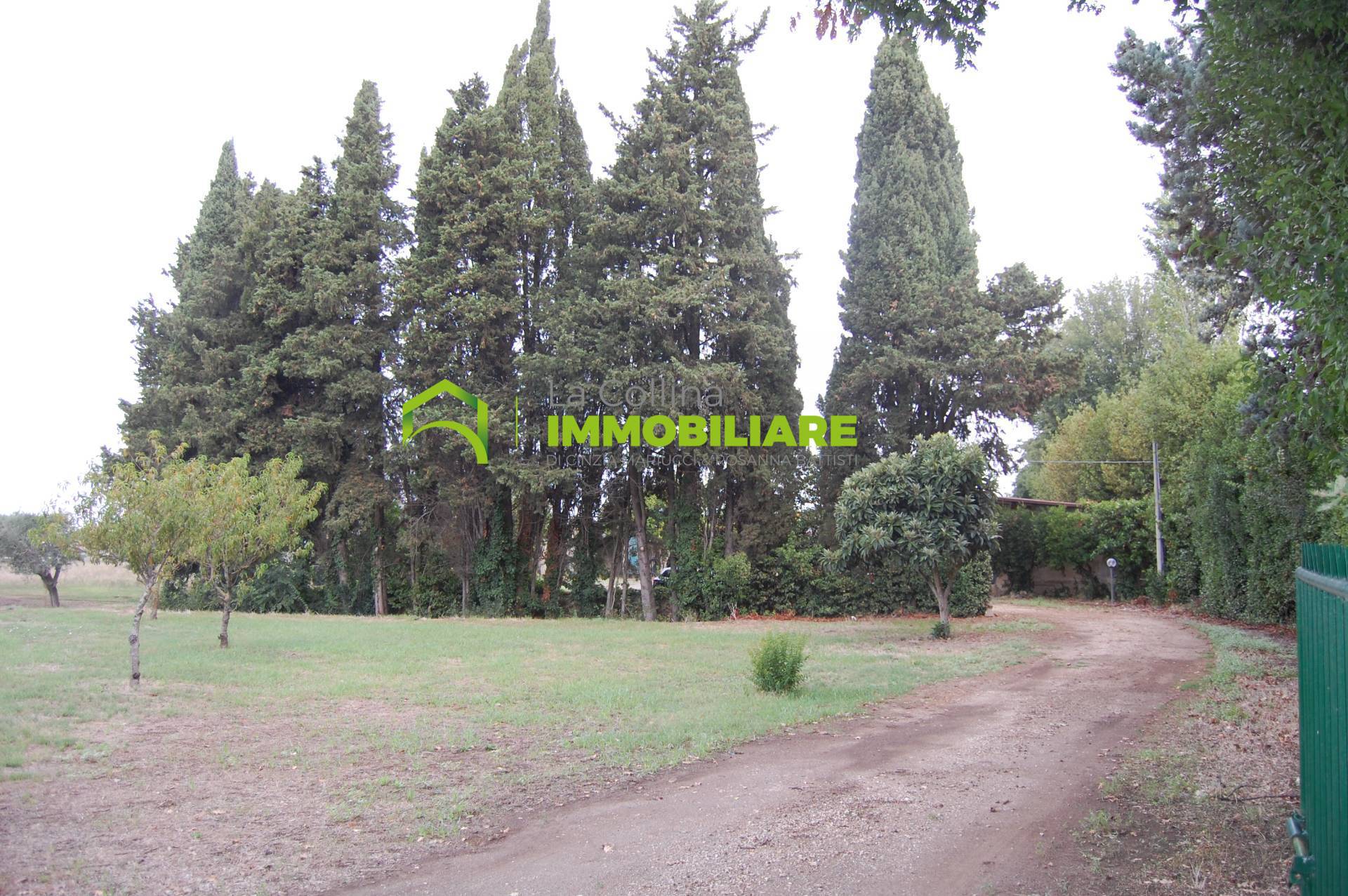 Terreno agricolo in vendita a Cisterna Di Latina (LT)