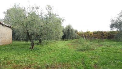 Terreno Agricolo in Vendita a Velletri