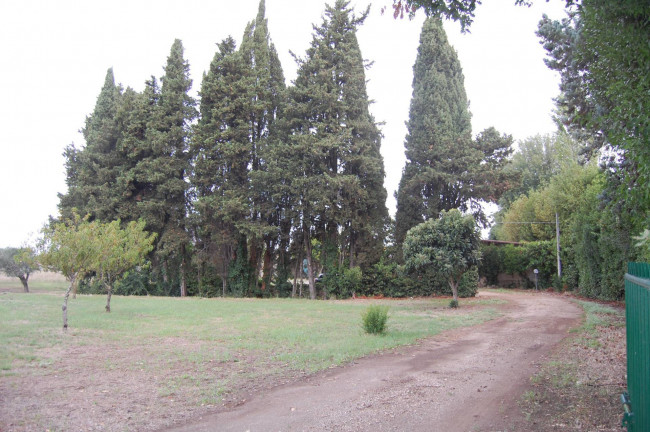 Terreno Agricolo con Magazzino ed Abitazione in Vendita a Cisterna di Latina