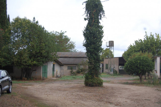 Terreno agricolo in vendita a Cisterna Di Latina (LT)