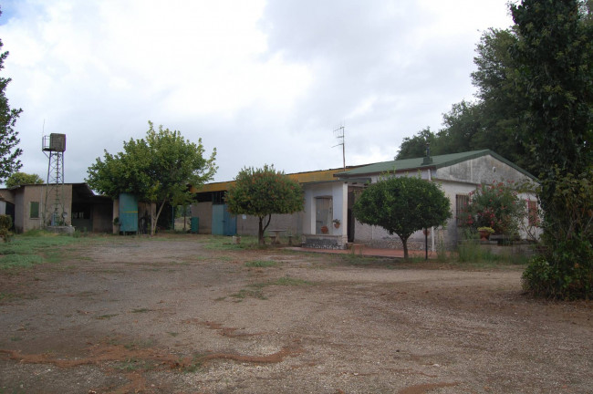 Terreno agricolo in vendita a Cisterna Di Latina (LT)