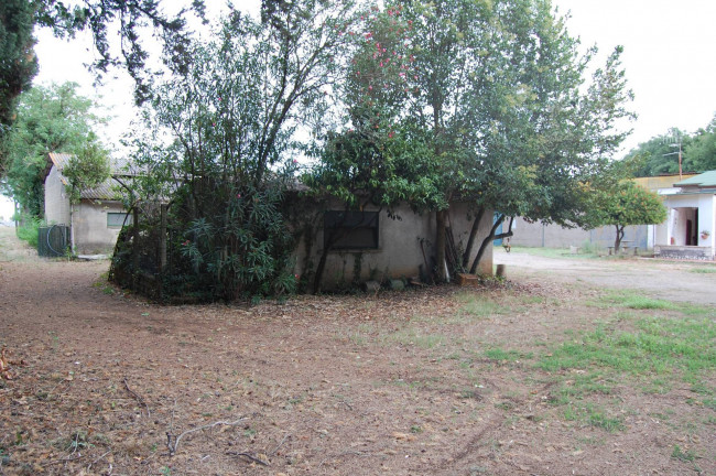 Terreno agricolo in vendita a Cisterna Di Latina (LT)