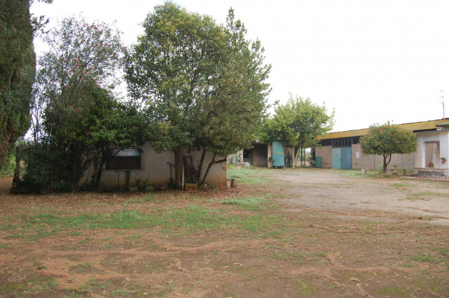 Terreno agricolo in vendita a Cisterna Di Latina (LT)