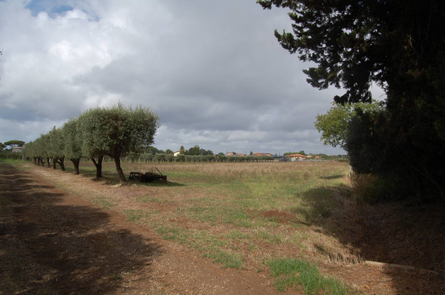 Terreno agricolo in vendita a Cisterna Di Latina (LT)