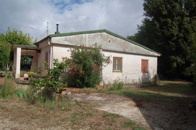 Terreno agricolo in vendita a Cisterna Di Latina (LT)