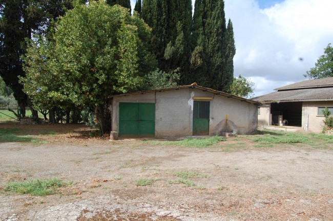 Terreno agricolo in vendita a Cisterna Di Latina (LT)