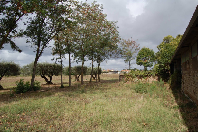 Terreno agricolo in vendita a Cisterna Di Latina (LT)