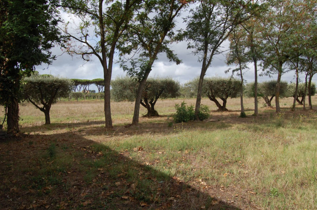 Terreno agricolo in vendita a Cisterna Di Latina (LT)