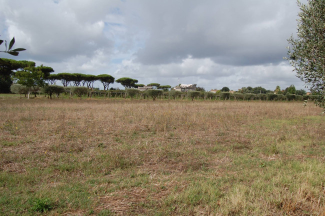 Terreno agricolo in vendita a Cisterna Di Latina (LT)