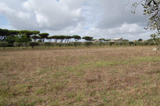 Terreno agricolo in vendita a Cisterna Di Latina (LT)