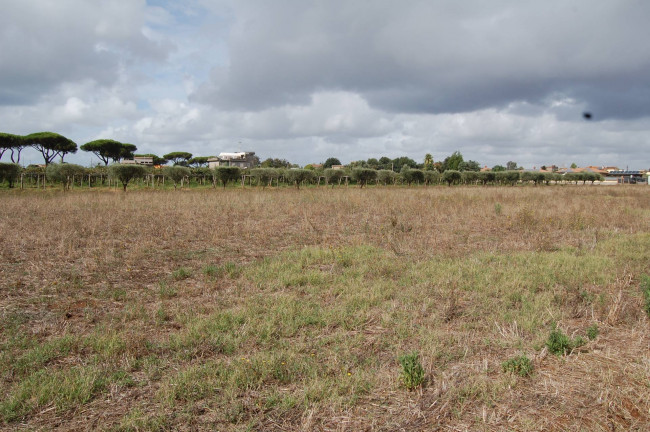 Terreno agricolo in vendita a Cisterna Di Latina (LT)