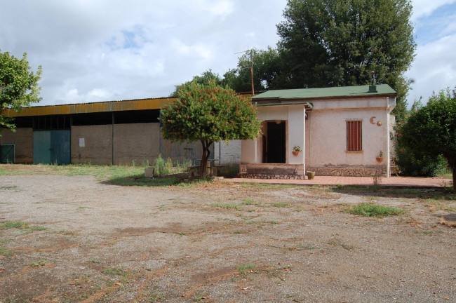 Terreno agricolo in vendita a Cisterna Di Latina (LT)