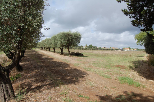 Terreno agricolo in vendita a Cisterna Di Latina (LT)