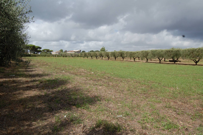 Terreno agricolo in vendita a Cisterna Di Latina (LT)