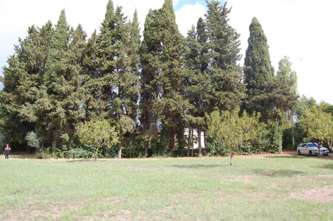 Terreno agricolo in vendita a Cisterna Di Latina (LT)