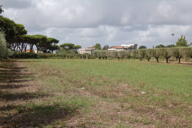 Terreno agricolo in vendita a Cisterna Di Latina (LT)