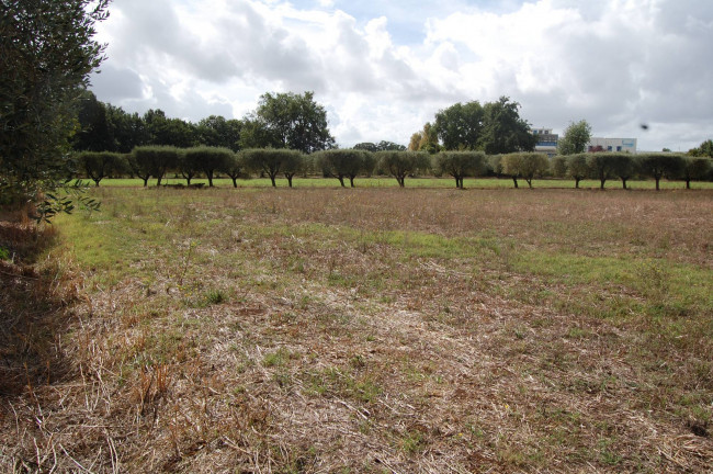 Terreno agricolo in vendita a Cisterna Di Latina (LT)