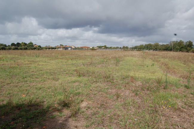 Terreno agricolo in vendita a Cisterna Di Latina (LT)