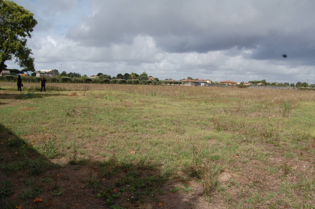 Terreno agricolo in vendita a Cisterna Di Latina (LT)