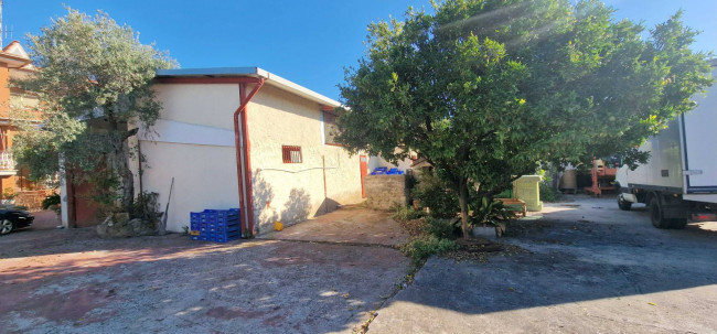 Capannone Commerciale in Affitto a Velletri