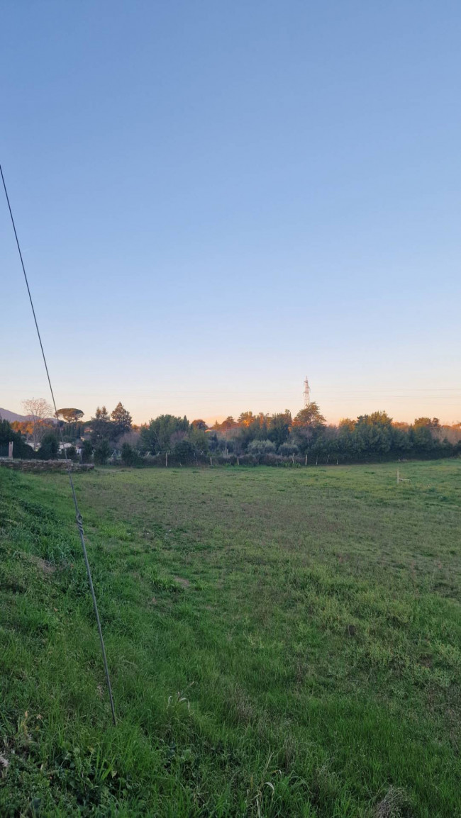 Terreno Agricolo in Vendita a Velletri