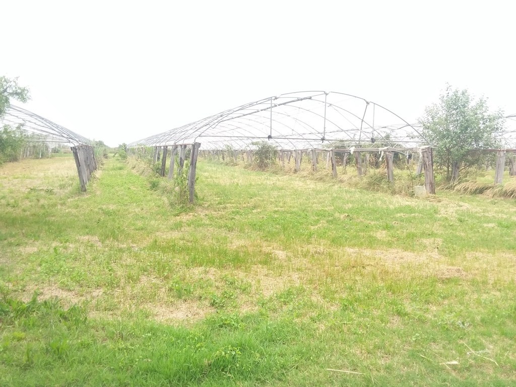 Rustico - Cascina CAVALLINO-TREPORTI vendita  Cavallino Treporti  Rizzato Immobiliare