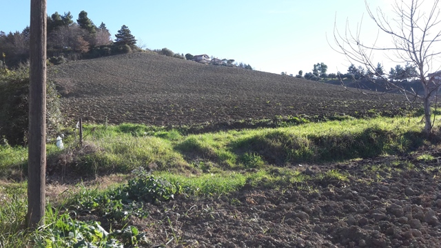  chieti vendita quart: località colle s.antonio - bucchianico immobiliare-lattanzio-e-miccoli-snc