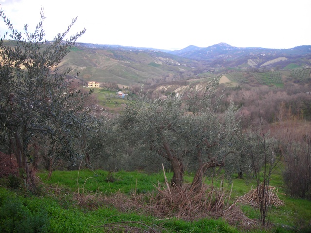 Villa Bifamiliare ROCCAMONTEPIANO vendita  Molino  Immobiliare Lattanzio e Miccoli snc