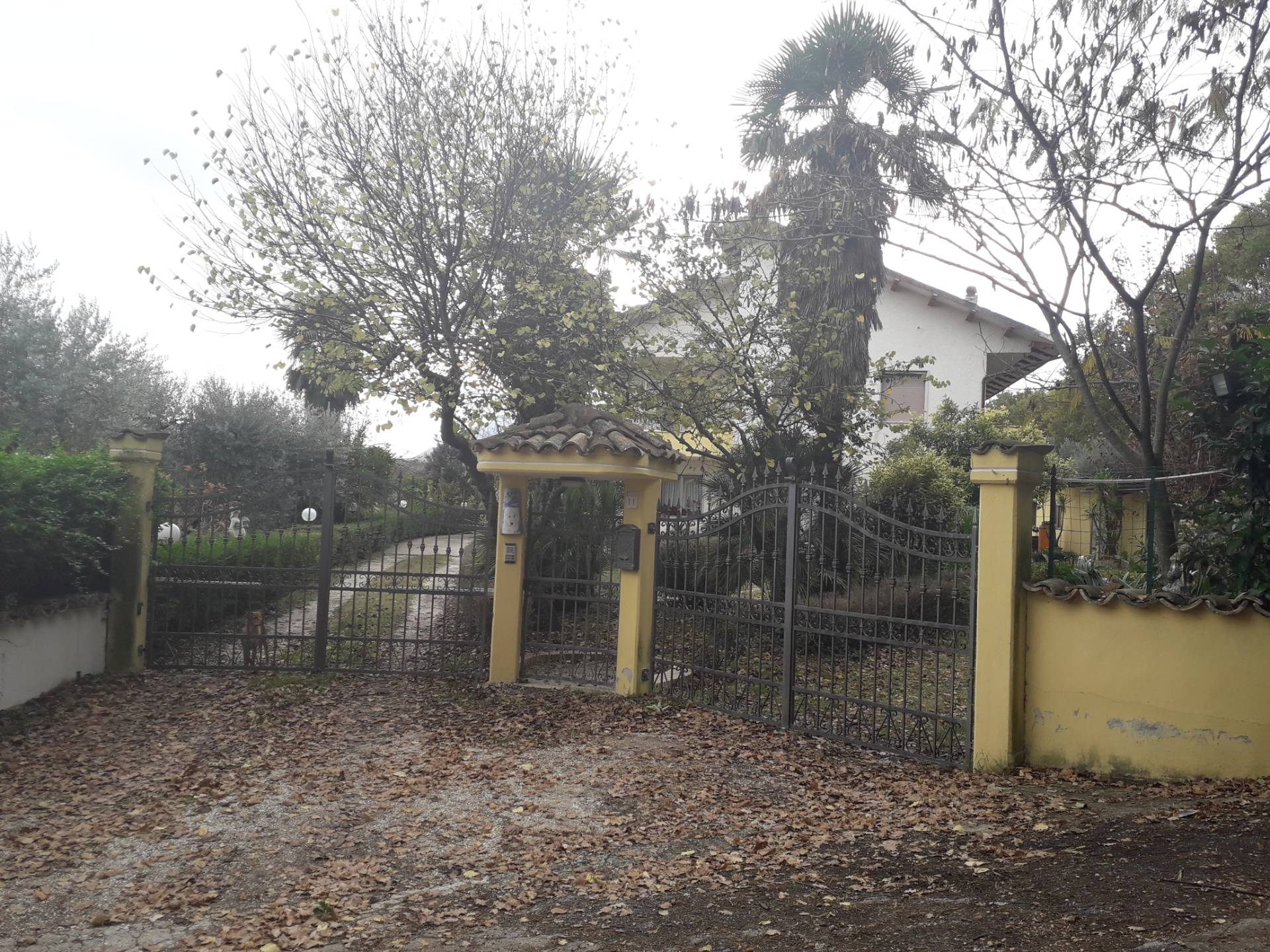  bucchianico vendita quart:  immobiliare lattanzio e miccoli snc