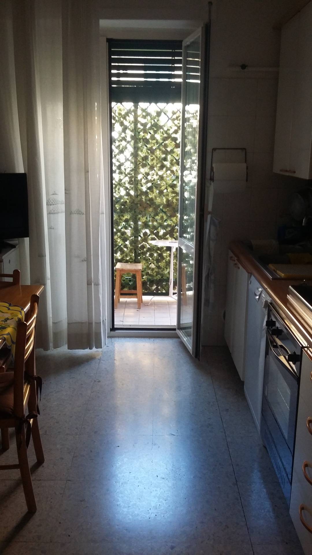 Appartamento CHIETI affitto    Immobiliare Lattanzio e Miccoli snc