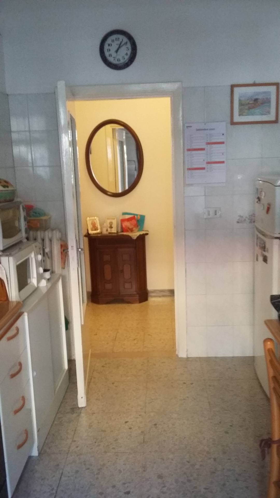 Appartamento CHIETI affitto    Immobiliare Lattanzio e Miccoli snc