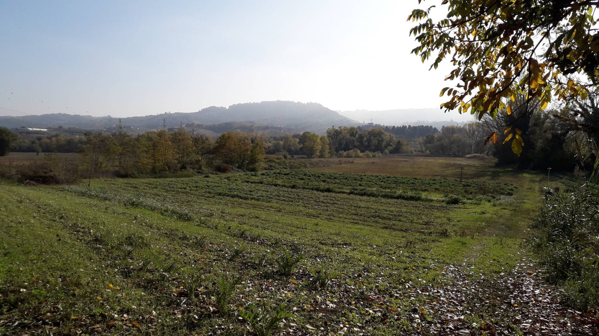 Terreno agricolo in vendita a Cepagatti (PE)