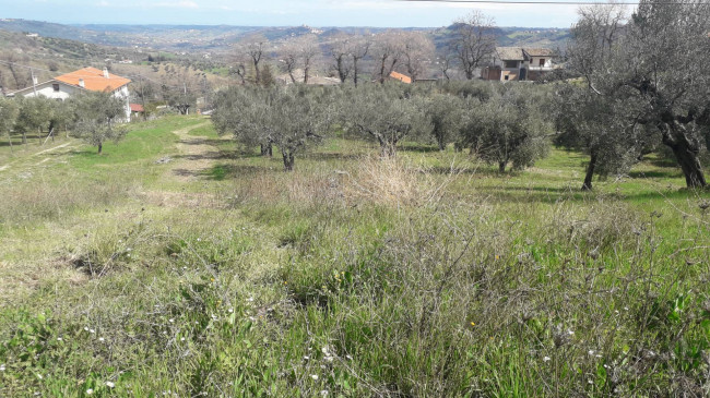 Terreno agricolo in vendita a Bucchianico (CH)