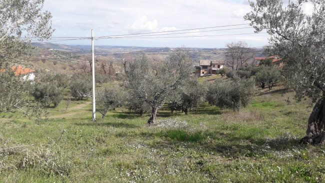 Terreno agricolo in vendita a Bucchianico (CH)
