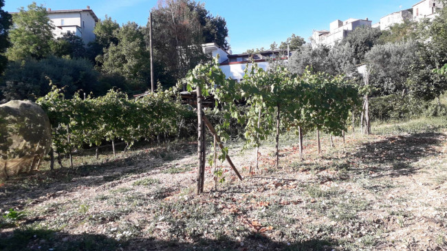 Casa indipendente in vendita a Rapino (CH)