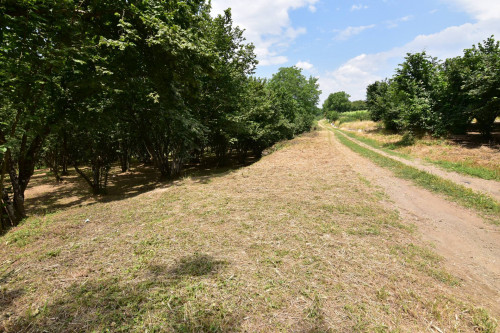 Terreno edificabile in vendita a Aiello Del Sabato (AV)