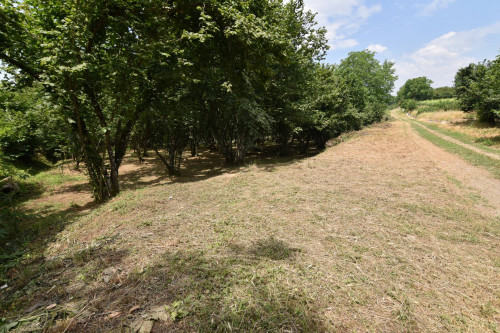 Terreno edificabile in vendita a Aiello Del Sabato (AV)