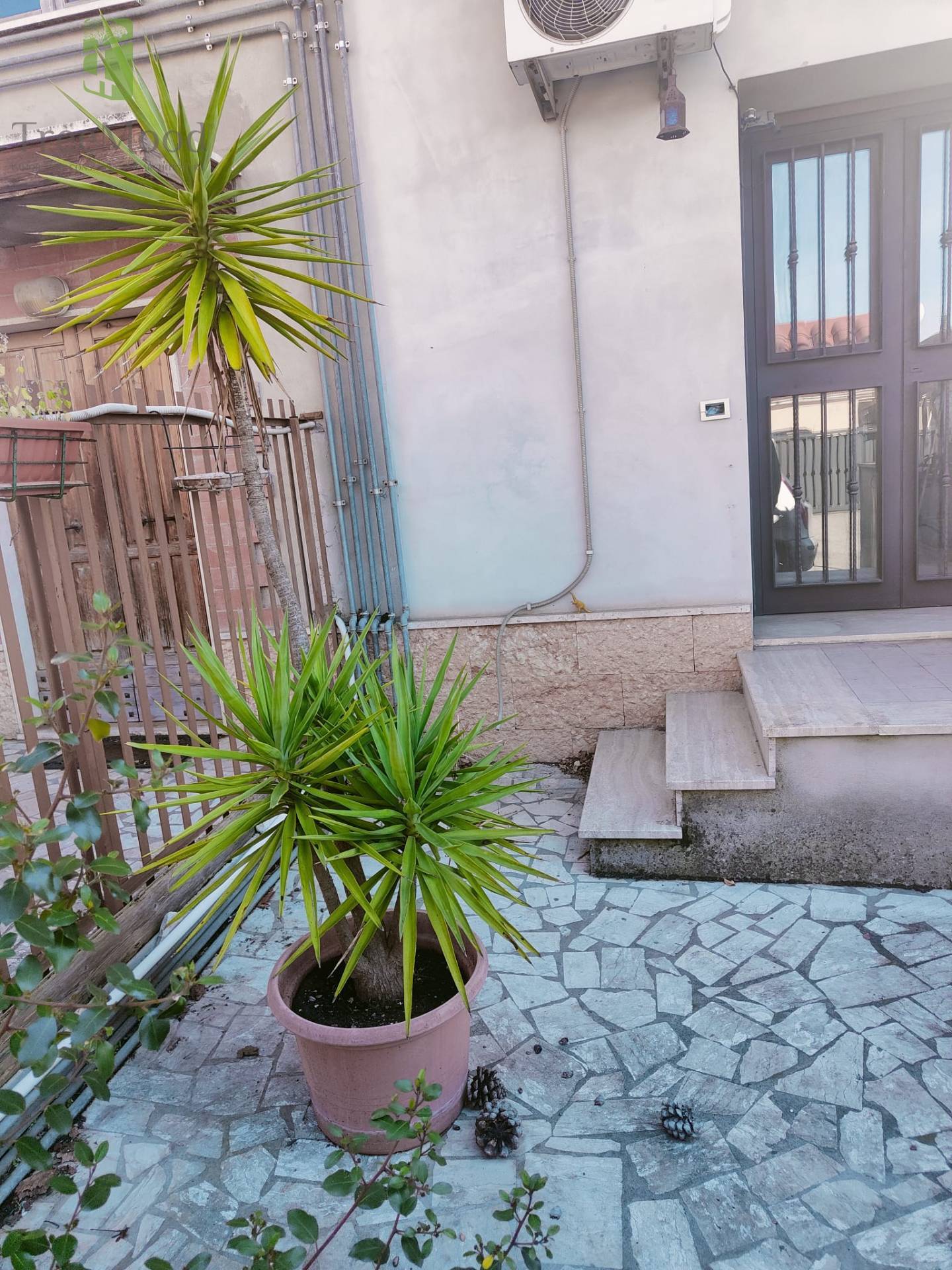 Casa indipendente in vendita a Collatino, Roma (RM)